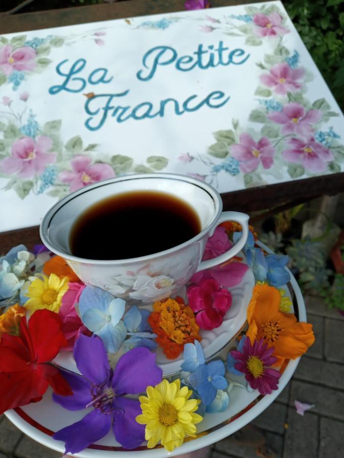 Отель La Petite France Нова-Петрополис Экстерьер фото